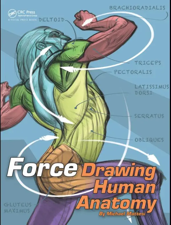 

Force Drawing Human Anatomy