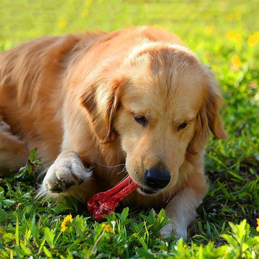 TENNOLA Кости для жевания для собак прочные, безвредные, со вкусом говядины, с запахом пищевых потерь, для очистки зубов для агрессивных жевателей.