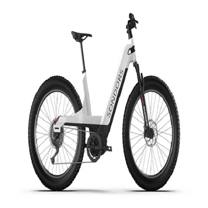 

Wholesales Price on SONDORS LX Reviews Ready To Ship