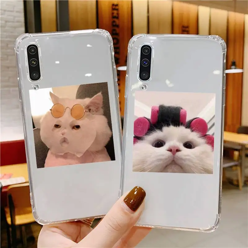 

Cute Cats funny animal Phone Case Transparent For Samsung galaxy A S note 23 52 22 20 21 51 71 12 50 10 30 fe ultra plus