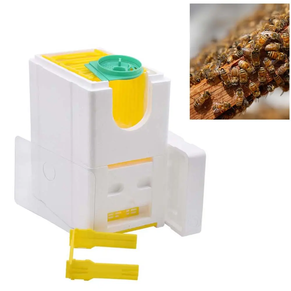 

Mini Breeding Beekeeping for Bees Garden Supplies Mating Equipment Foam Feeder Beehive Bee Mating Box