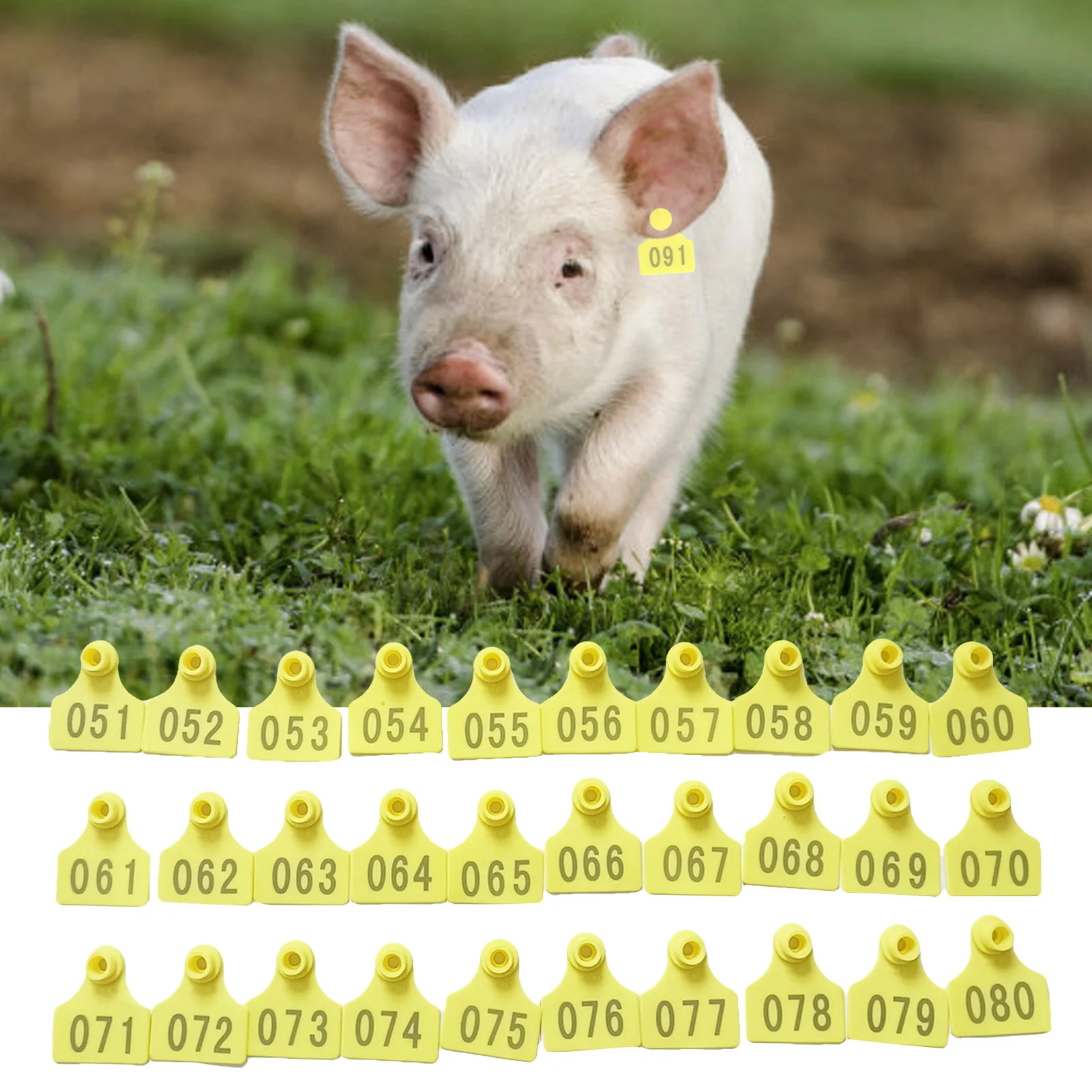 100Pcs No. 1-100 Yellow Ear Tag for Pigs Sheep Identification Signs Number Marker for Animals Farm Husbandry Livestock No Pliers