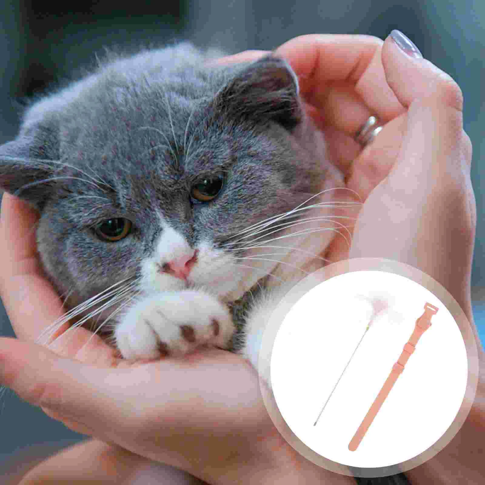 

Cat Toy Wand Toys Stick Interactive Rod Teasing Teaser Collar Cats Kitten Indoor Funny Spring Wiggling Artificial Personalized