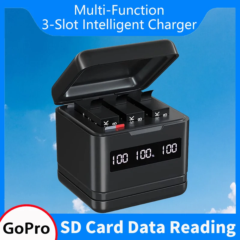 Зарядное устройство GoPro 5 6 7 8 с USB и Type-C