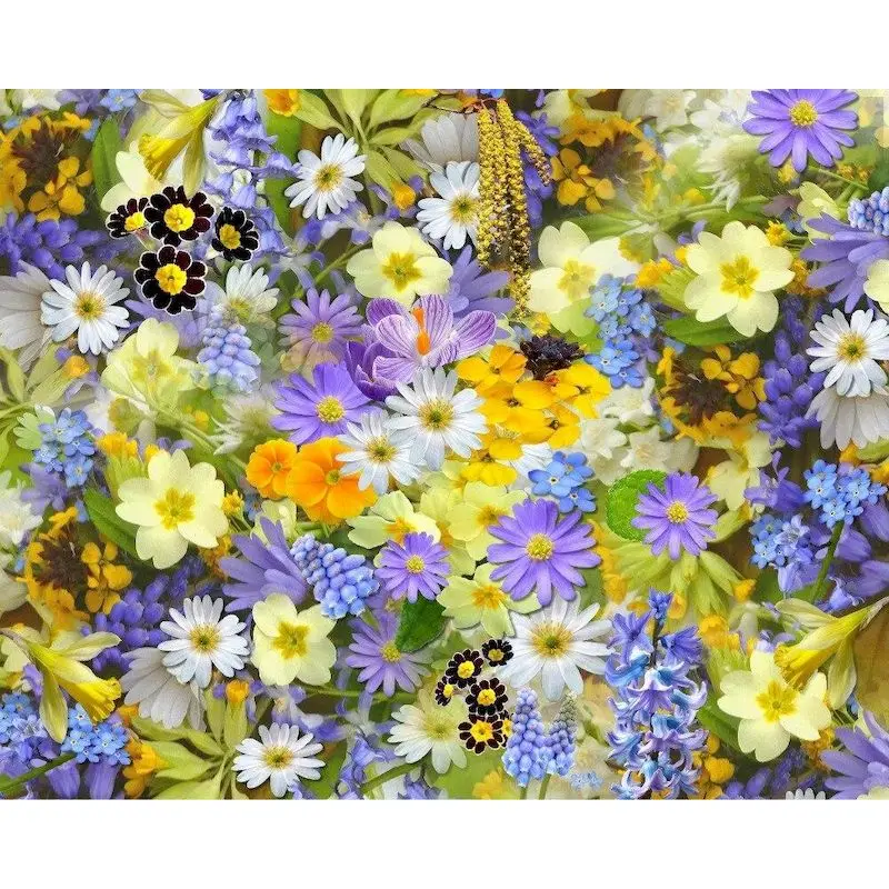 

GATYZTORY Painting By Number Flower Oil Painting By Numbers Paint On Canvas Diy Picture Hand Painted Home Decoration