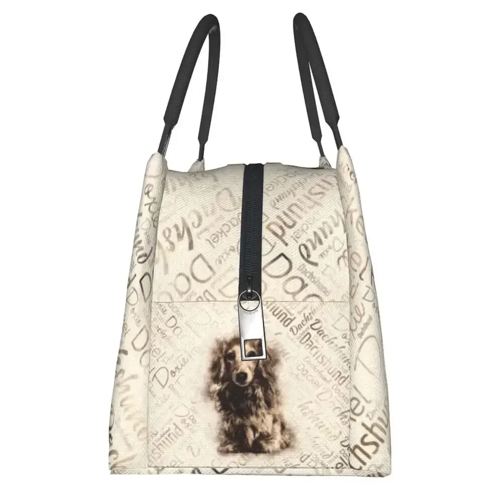 Длинношерстные изолированные сумки для обеда с собакой таксы женщин барсук