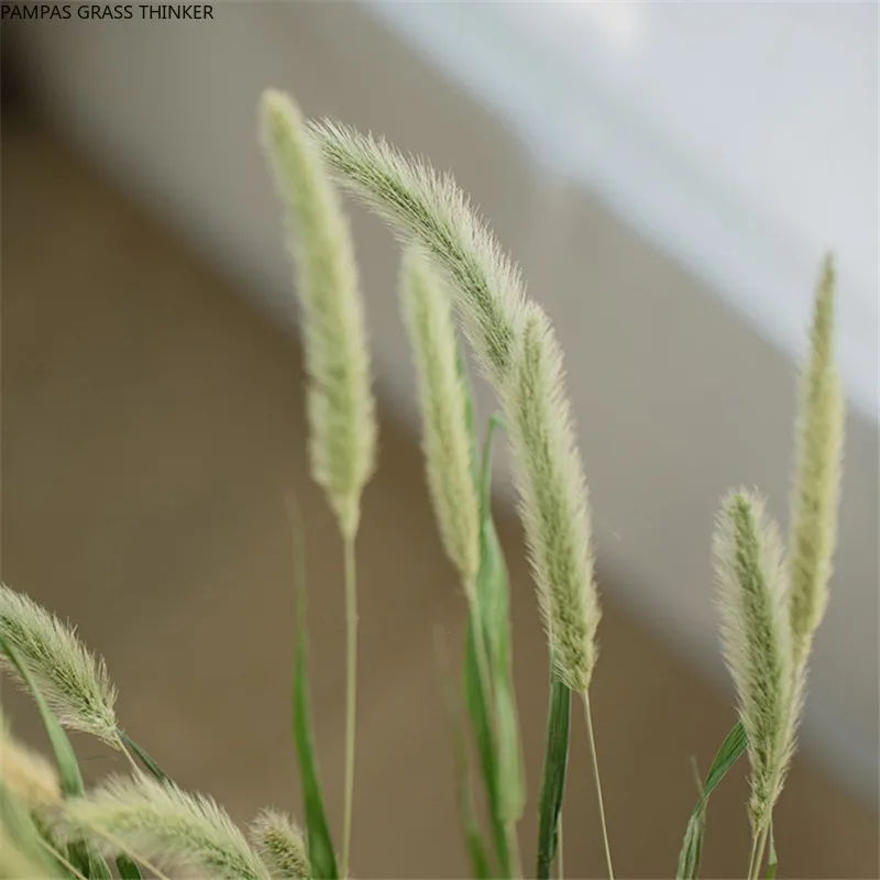 

50 стеблей, Свадебный декор, букет цветов, собака, кролик, хвост, натуральные растения, цветочный букет из кроличьей травы, украшение для дома,...