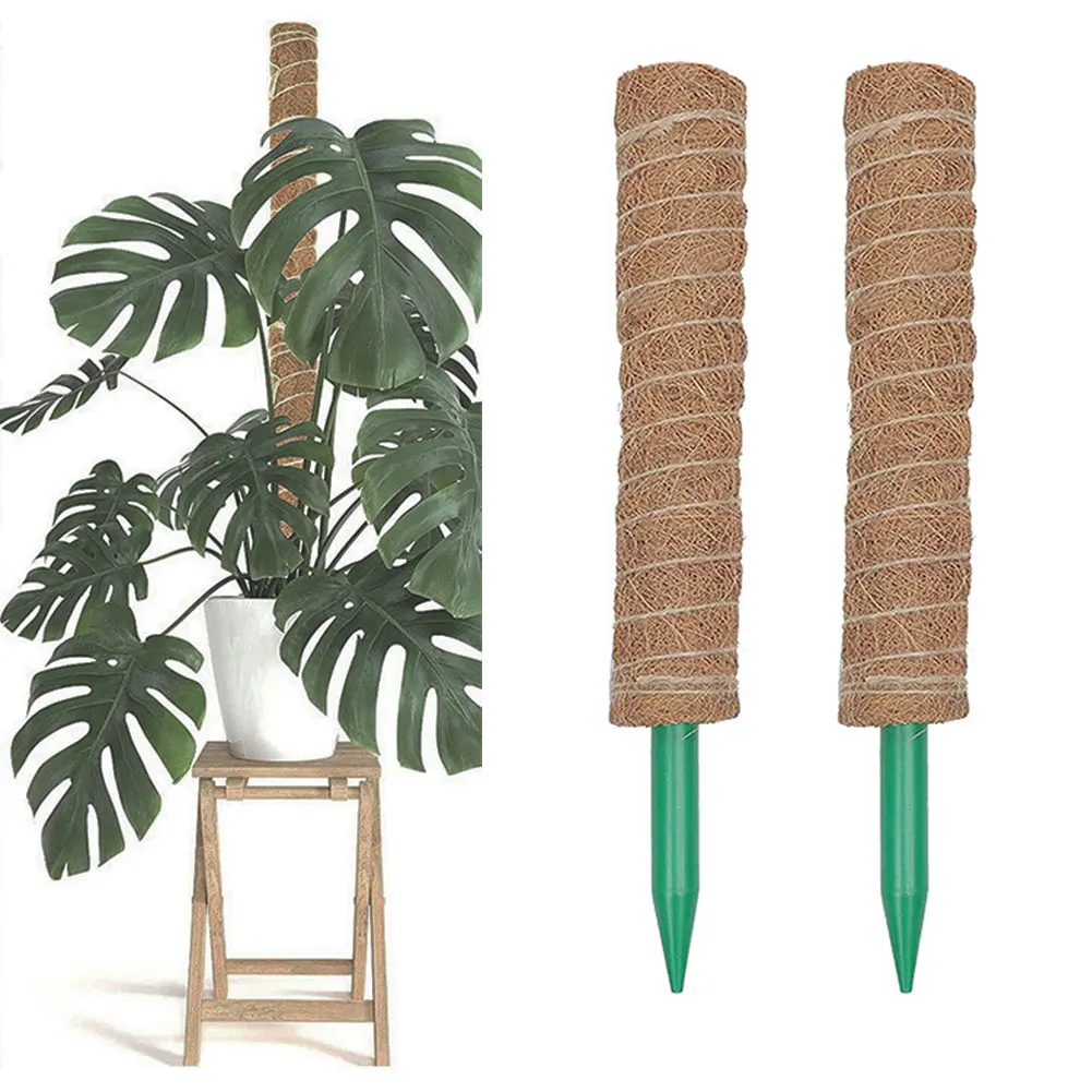 

Plant Climbing Frame Vine Coconut Palm Rod Can Be Bent and Shaped Moss Rod Stretching Plants Climbing Poles Plant Growth