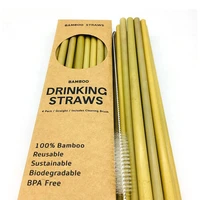 12pcsset eco friendly straw bamboo straw reusable drinking straws with clean brush case natural bar home tools bamboo straws