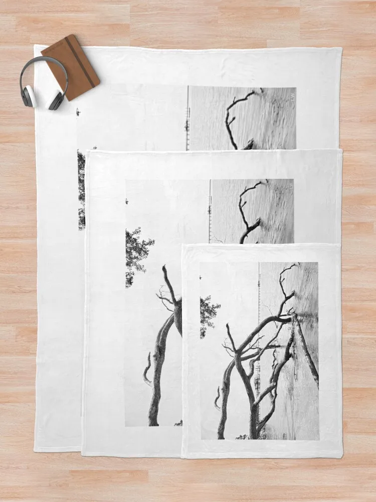 Fort Fremont Beach Beaufort Южная Каролина Driftwood черно-белое одеяло декоративные одеяла для