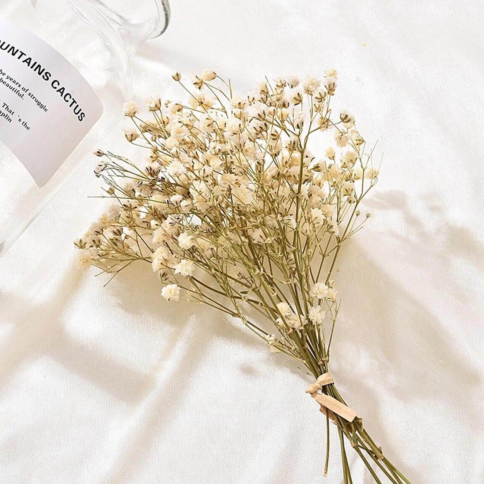 

A Bunch Of Mini Natural Dried Flower Baby'S Breath Decor Preserved Background Decoration Fresh Photo Bouquet Photography We J6T7