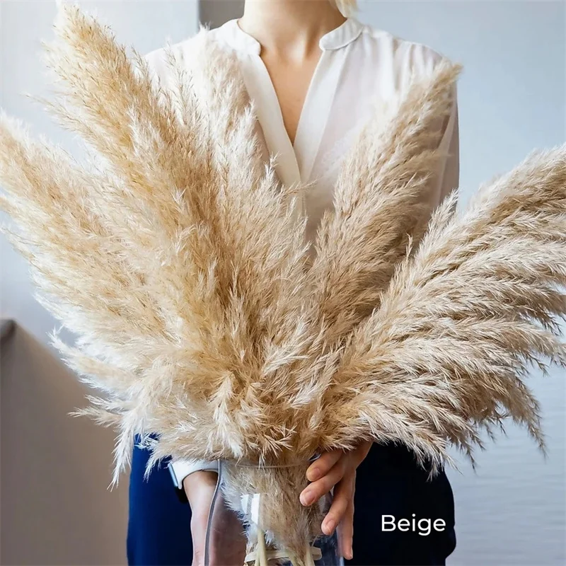 

10PCS Pampas Grass Large Tall Fluffy Natural Dried Flower Boho Decor Reed Grass for Vase Filler Farmhouse Home Wedding Decor