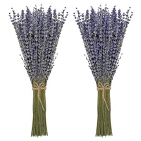 2 bundles dried lavender bundles natural dried lavender flowers for home decoration photo props home fragrance