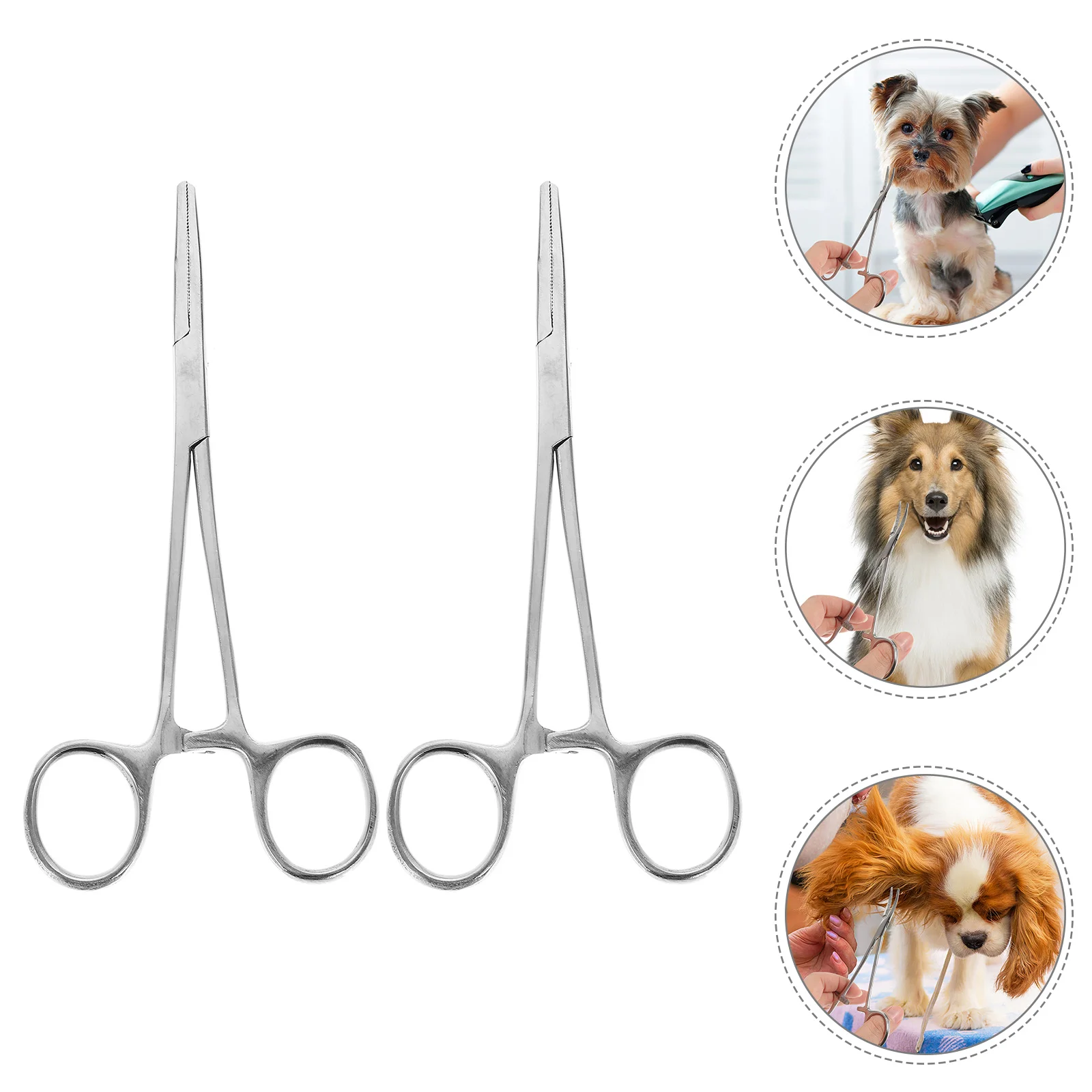 

2 Pcs Pet Hair Pliers Stainless Steel Tweezers Cupping Pluck Hemostat Home Forceps Nurse Wound Cleaning