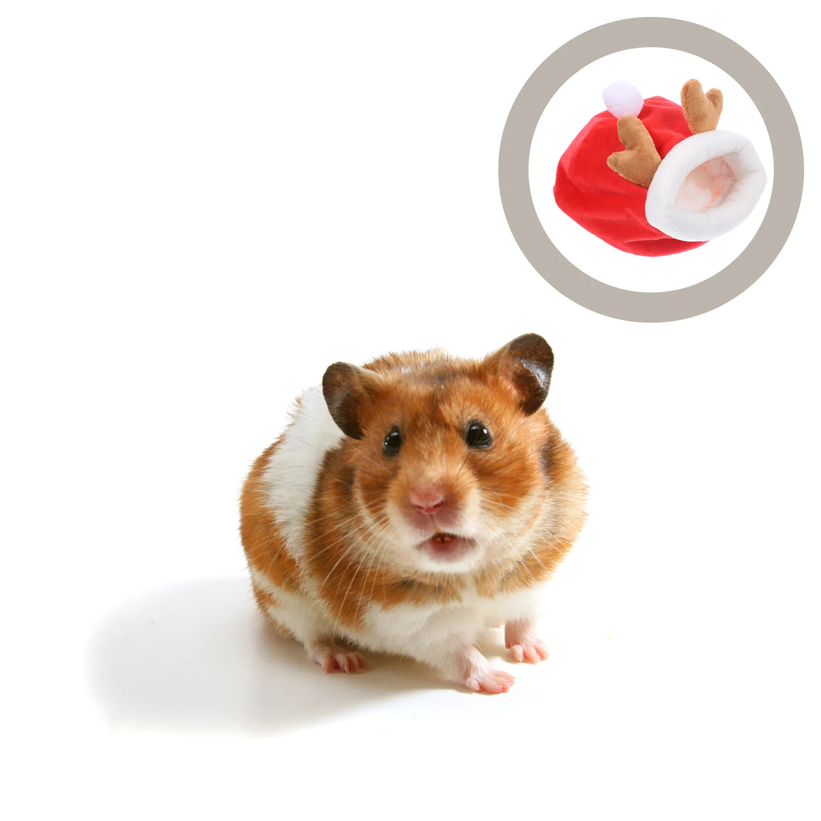 

Guinea Cage Animals Hamster Hideout Hamster House Hamster Hide for Winter Friends Sleeping Pets