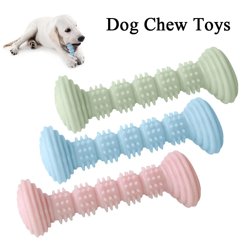 Pet Molar Toy