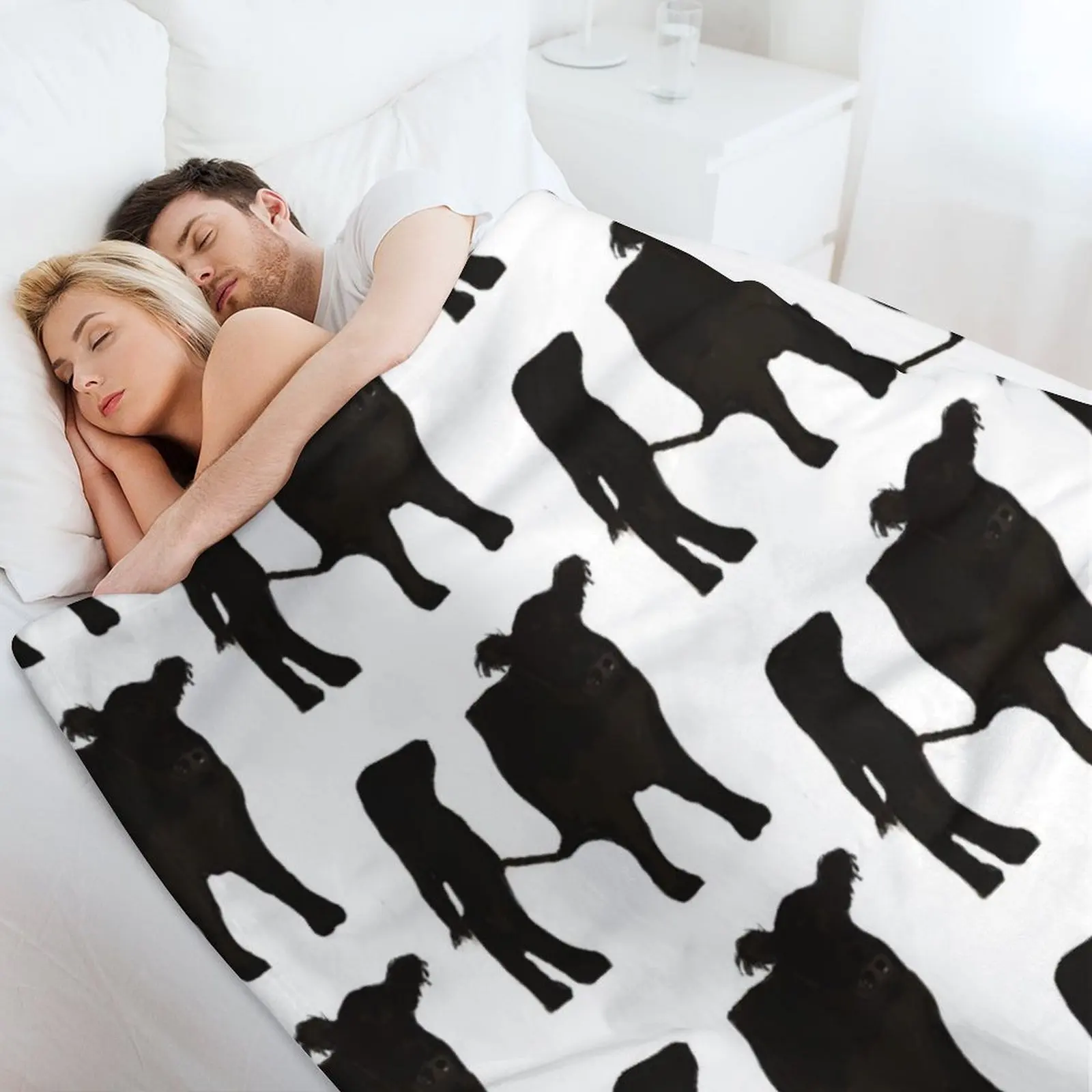 Одеяло Galloway с поясом Bobbi