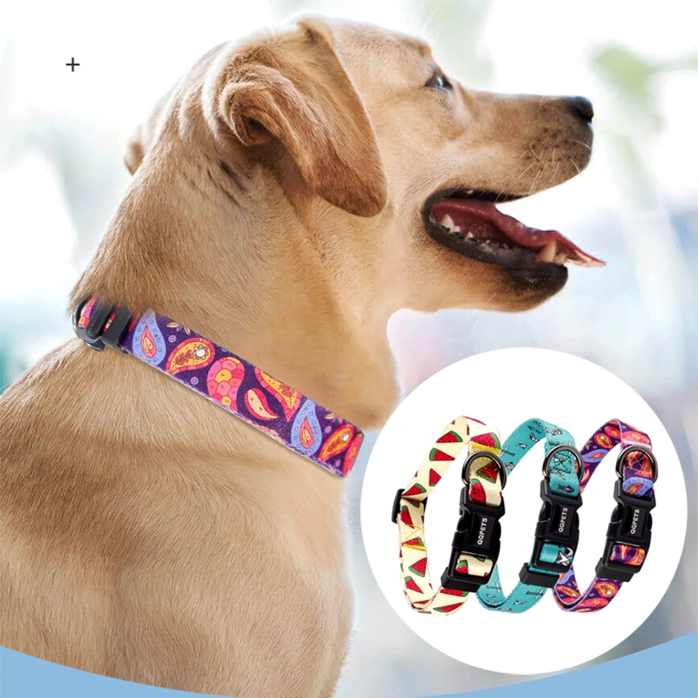 

Adjustable Pet Dog Collar Colorful Puppy Training Walking Collar Teddy Bichon Small Medium Dog Collar Pet Supplies New Arrival
