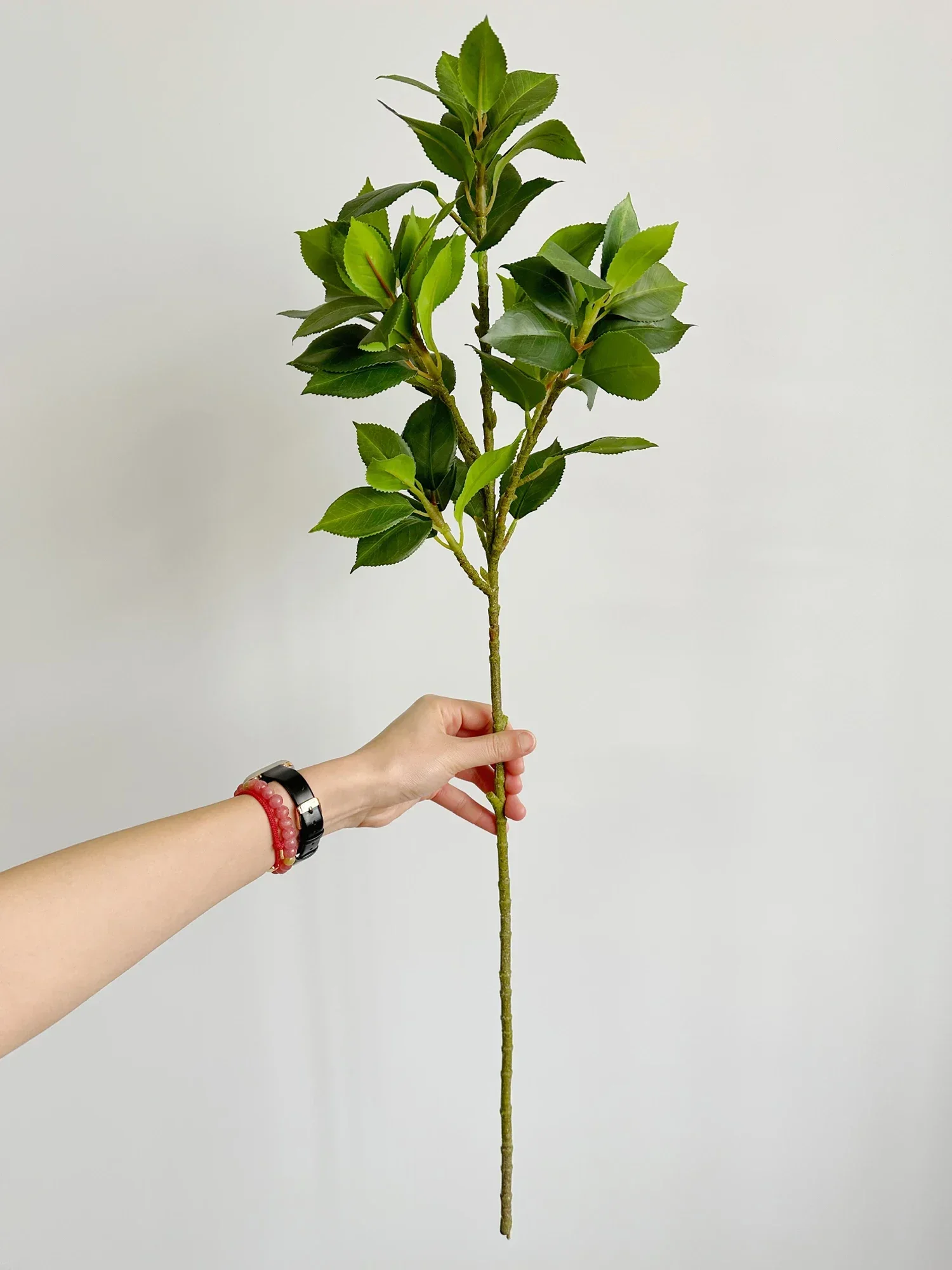 

Искусственные фикусы для декора