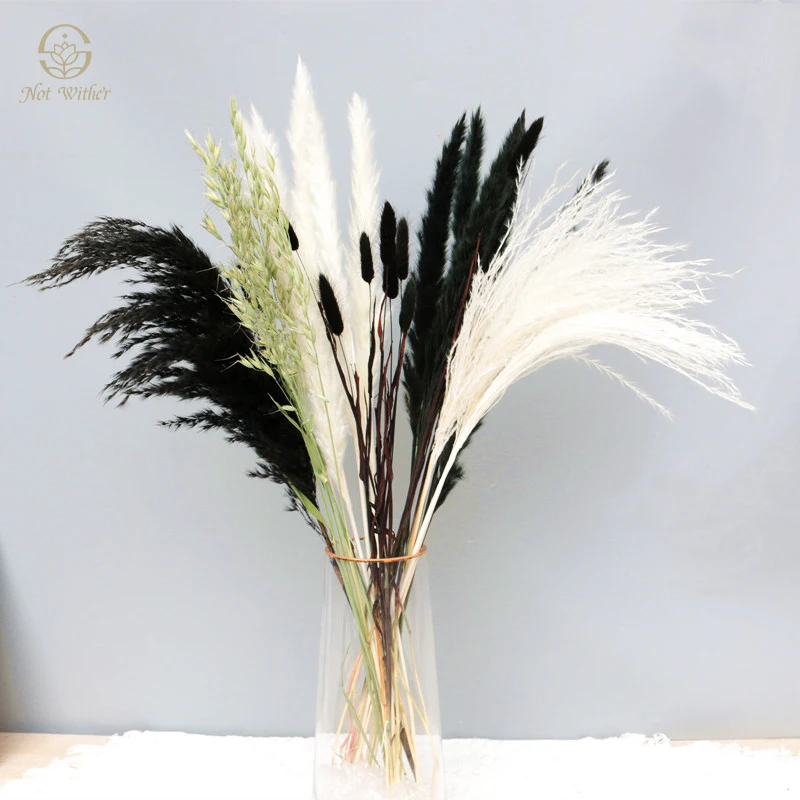 

80PCS Dried Flower Pampas Grass Decor DIY Wedding Supplies Party Room Decoration Boho Home Accessories Natural Preserved Flowers