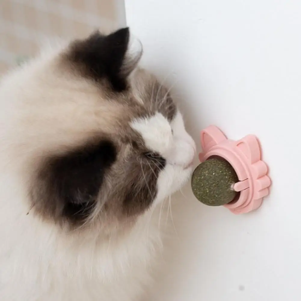 

Edible Catnip Ball Toy 360 Degree Rotating Teeth Cleaning Anxiety Relief Interactive Chew Toy for Indoor Cats Adhesive Wall Mou
