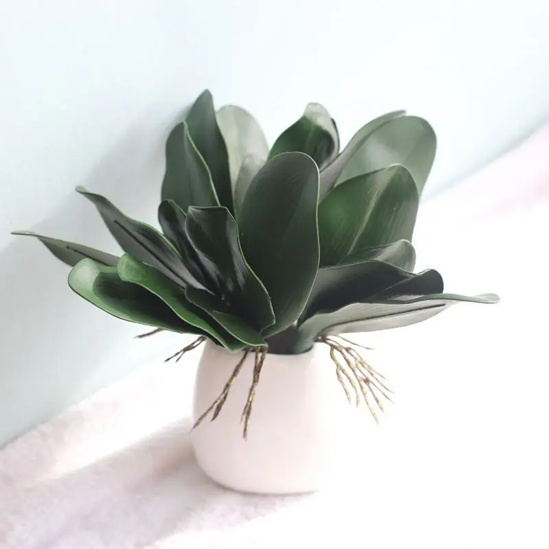 

Artificial Flower Succule Green Plant Phalaenopsis Clivia Leaf For Home Decoration Wedding Flower Wall Fake Flower Wholesale