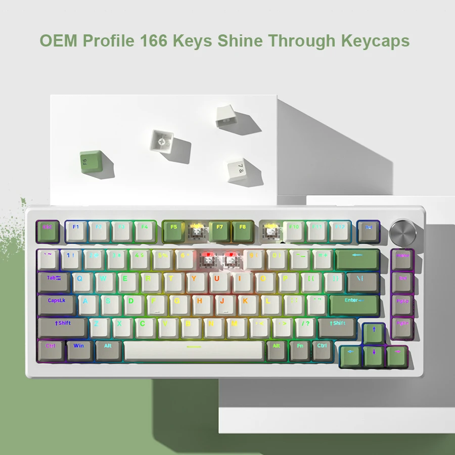 

Shine Through PBT Keycaps Custom Double Shot Keycaps OEM/XVX Profile for 60% 65% 75% 100% Cherry Gateron MX Switches Keyboards