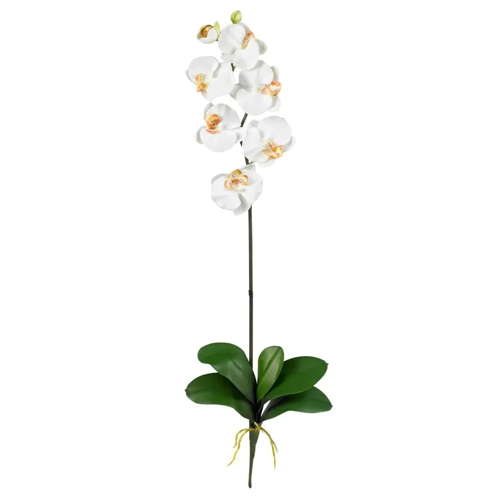 

Phalaenopsis Stem Artificial Flowers (Set of 6), Beige