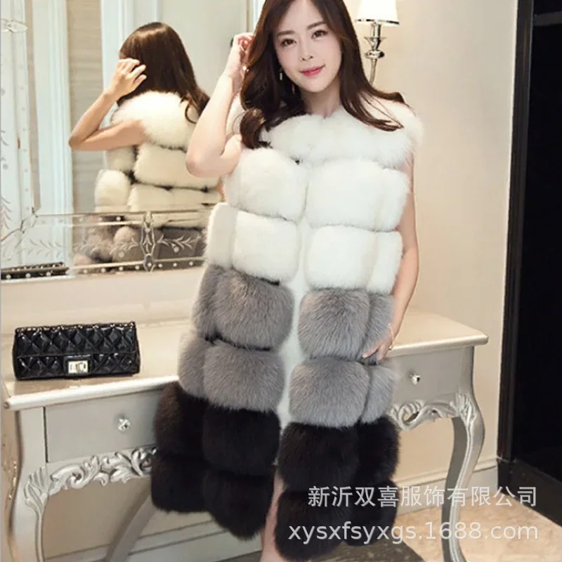 

Autumn and Winter Fur New Fashion Women's Long Fur Coat
