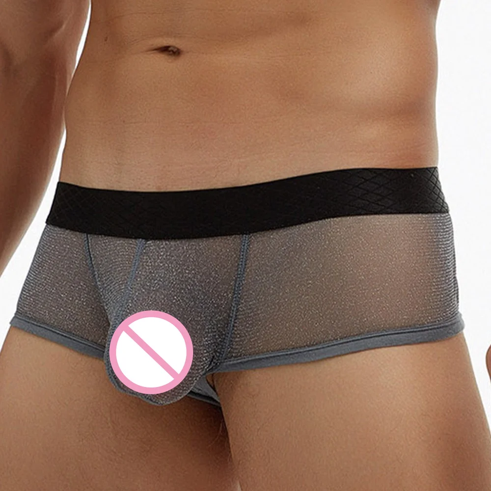 

Sexy Underwear Men 2022 Boxers Hombre See Through Fine Mesh Pouch Bag Low Waist Thin Boxer Male Panty Sissy Lingerie For Men