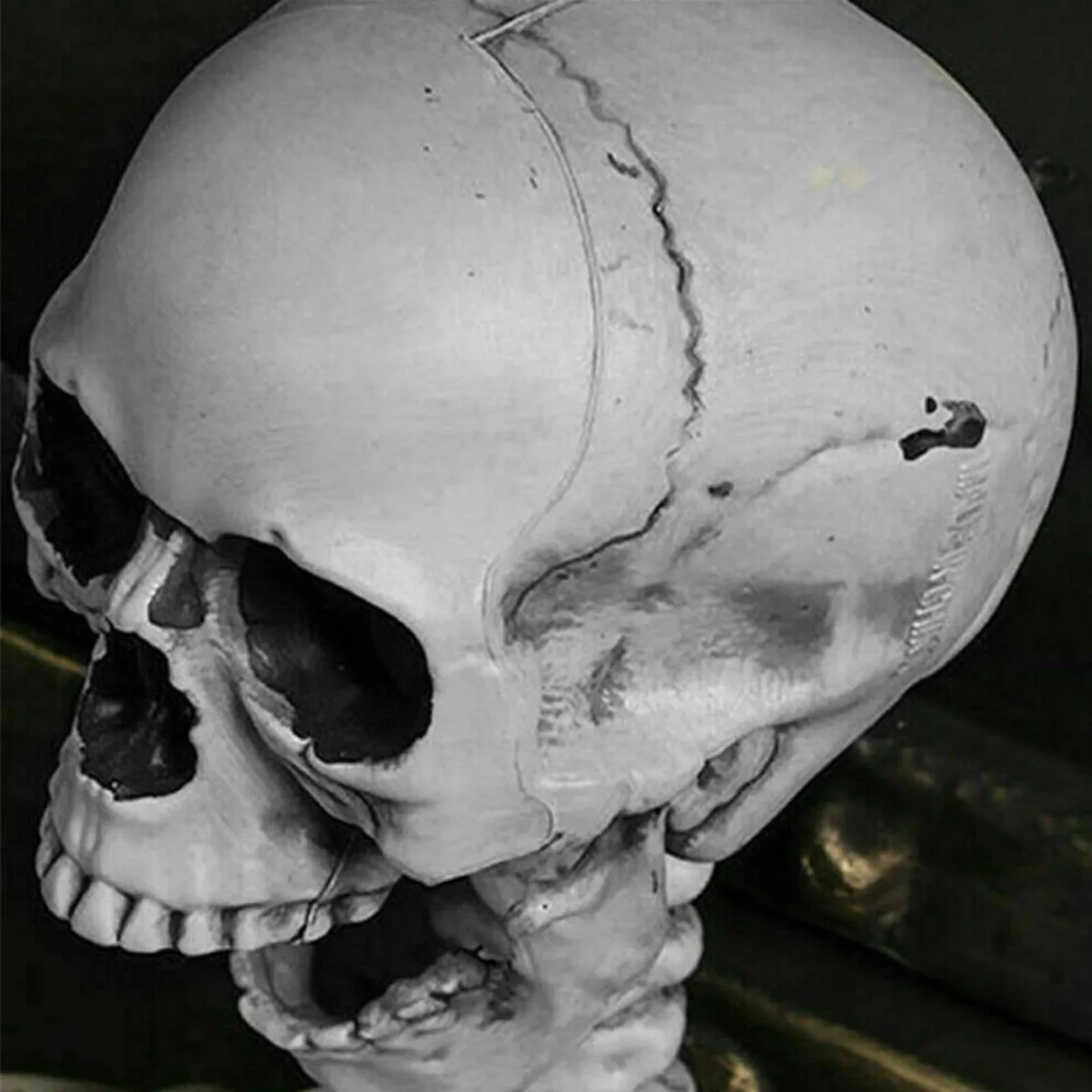 Полная гигиена Esqueleto realista с артикуляциями и блестящими бриллиантовыми