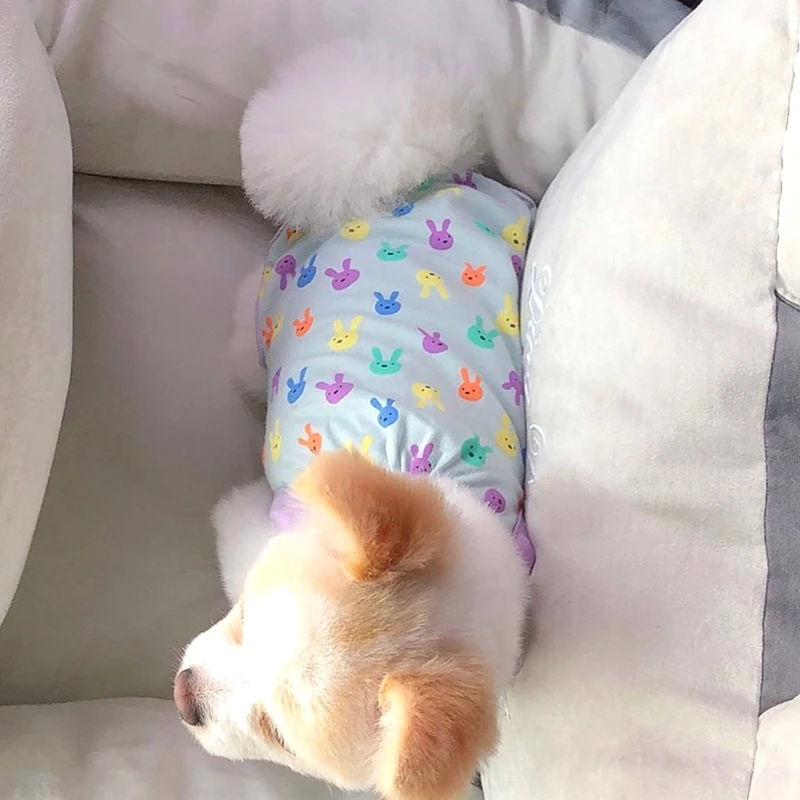 

Colorful bunny print design pet dog clothes summer thin section 220416045