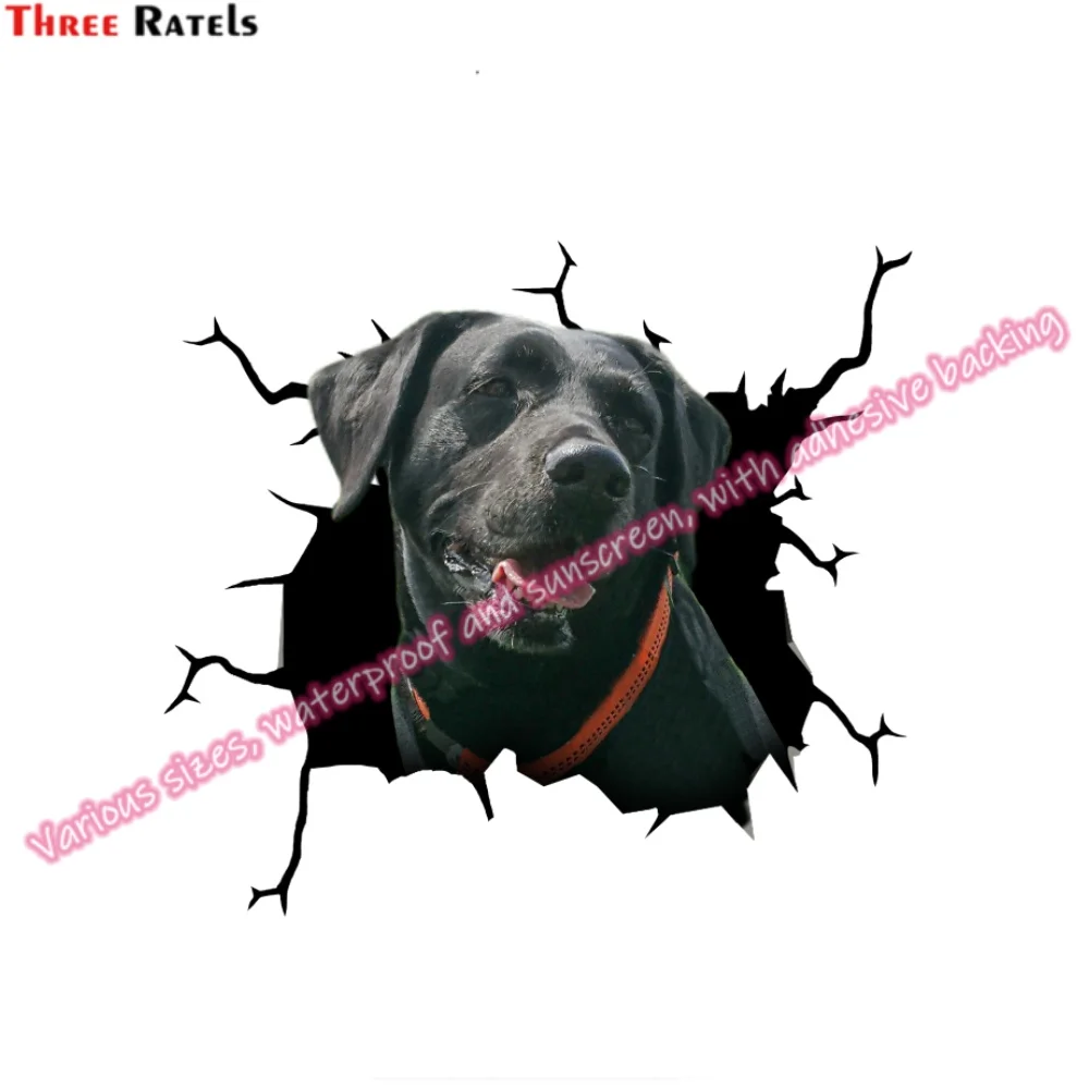 Автомобильные виниловые наклейки Three Ratels для Audi Q5 Аксессуары автомобилей Renault Megane