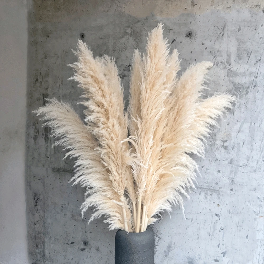 120cm Large Pampas Grass Fluffy Natural Reed Wedding Bouquet Tall Dried Flower Ceremony Modern Home Garden Decoration