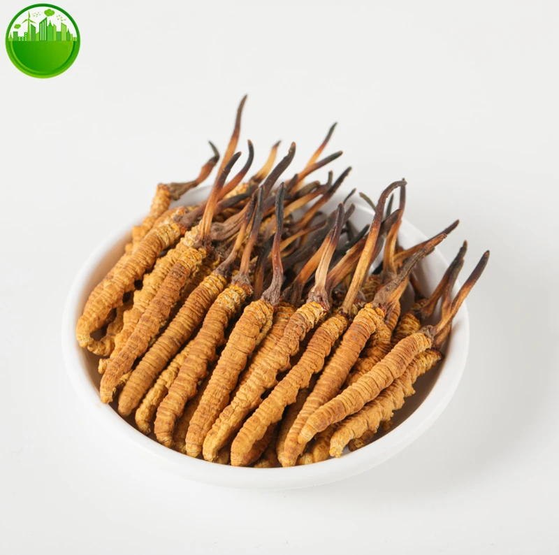 Cordyceps Sinensis 100% Dong Chong Xia Cao дикий весь Гималайский кордицепс порошок |