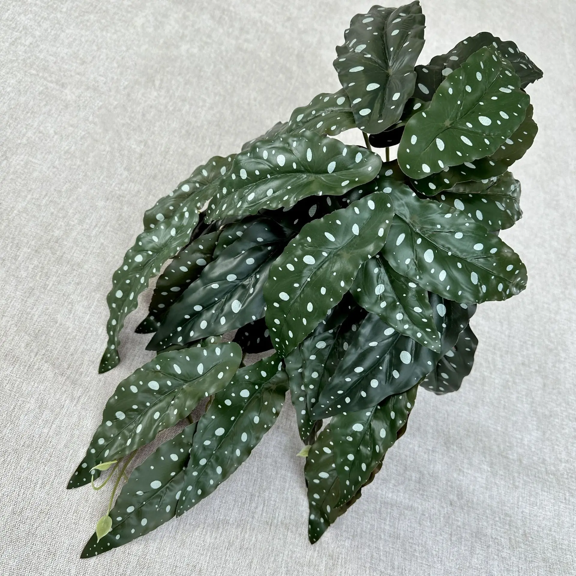 

Искусственные растения Green Aloes