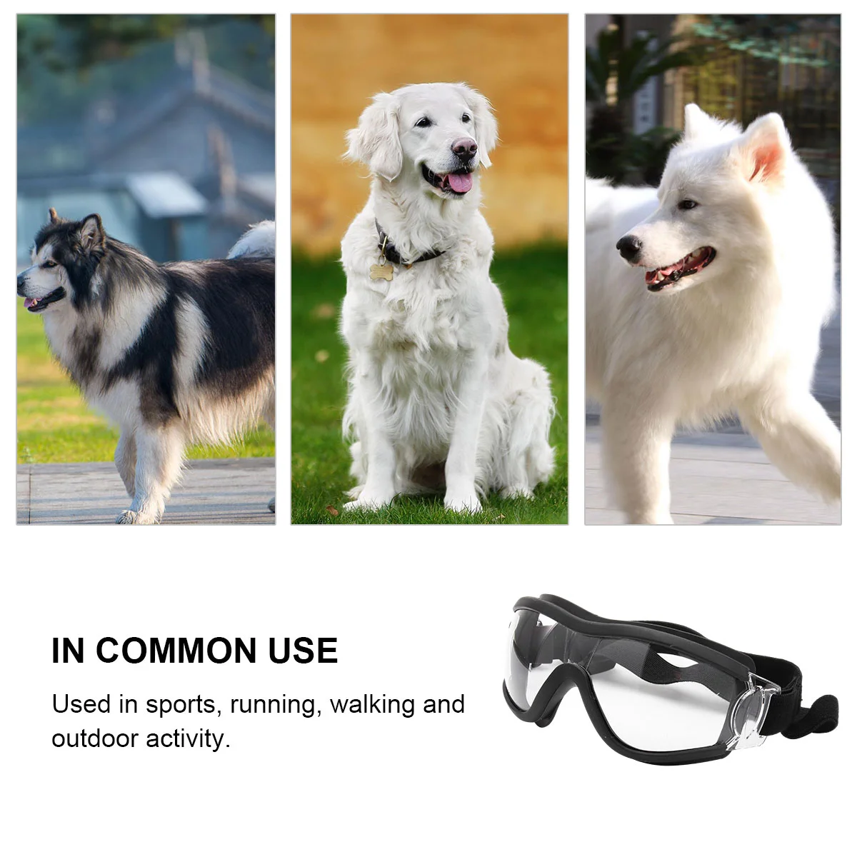 

Outdoor Goggles Dog Sunglasses Motorcycle Eye Protection Safety Swimming Gear Pet