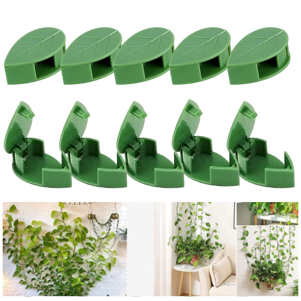 

10PCS Plant Climbing Wall Fixture Clips Self-Adhesive Invisible Vines Hook Support Rattan Vine Bracket Fixed Buckle