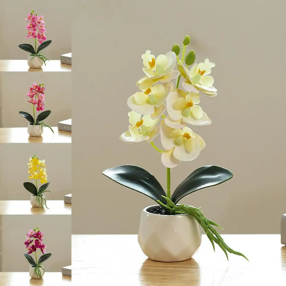 

Eco-friendly 5 Colors Desktop Decorative Fake Succulent Plant for Office