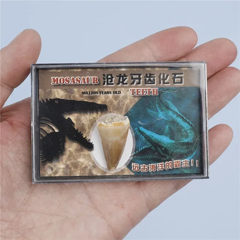 

Камни JIUAN набор для исследования