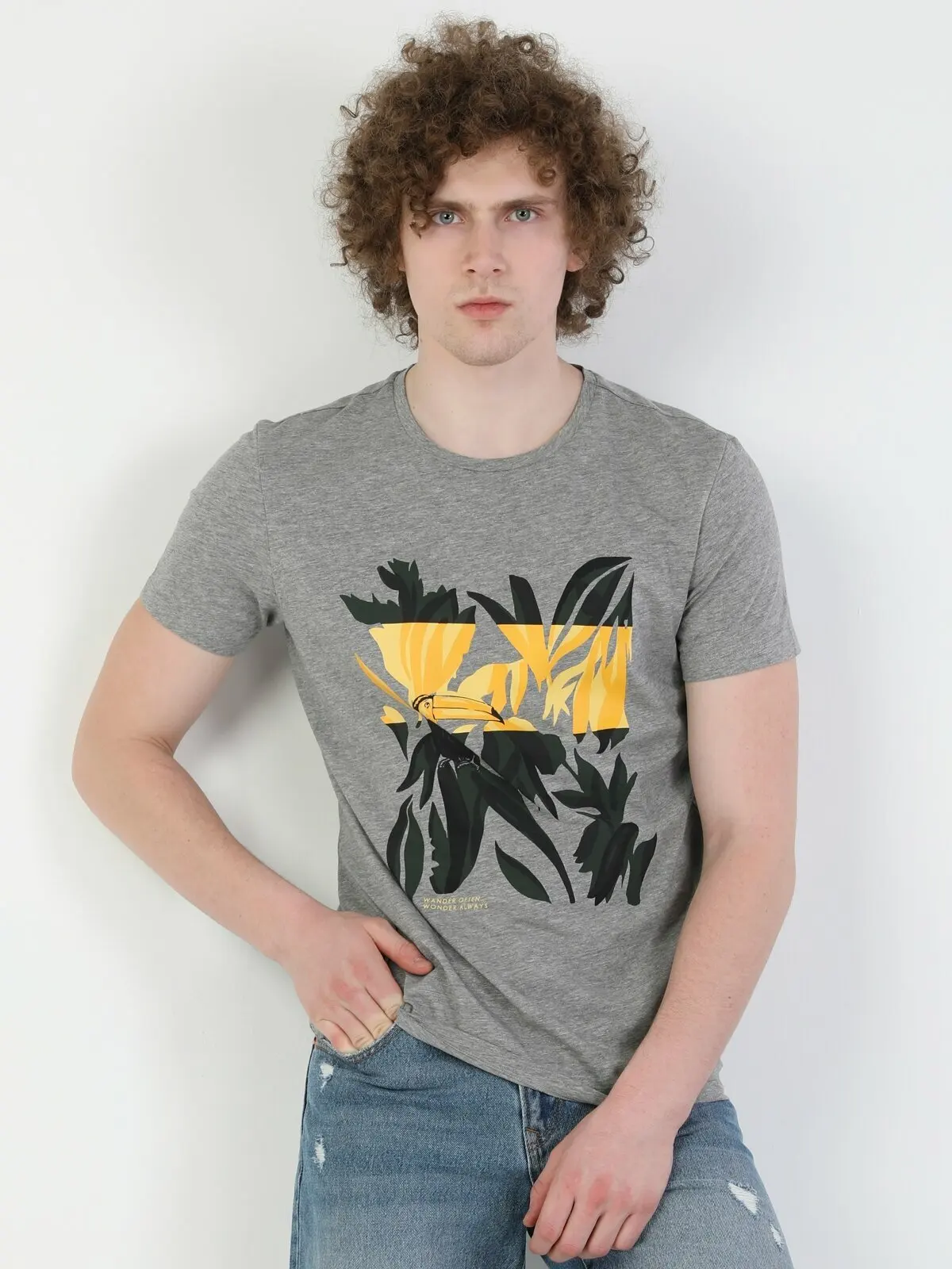 

Colins Men Regular Fit Grey Heather Short Sleeve Tshirt Men's Tshirt Fashion Man Tshirts ,CL1046833