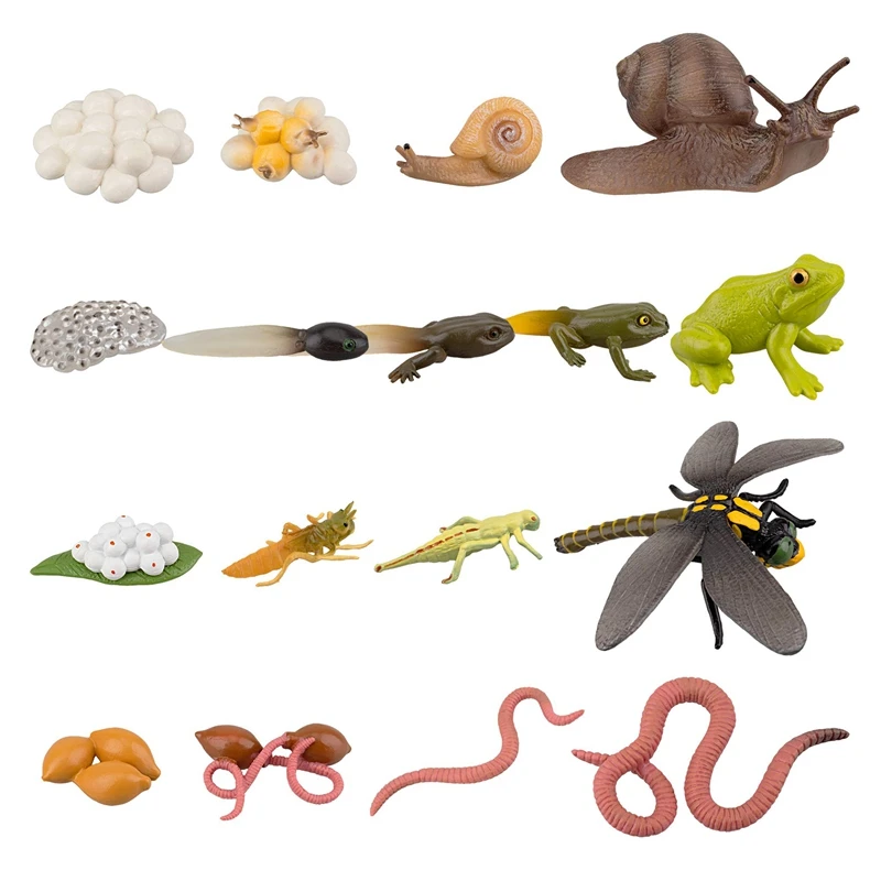 

17PCS Life Cycle of Frog Snail Earthworm Dragonfly, Egg Tadpole to Frog Safariology Amphibian Figurines Toy Kit