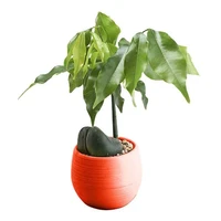 plant pot 10 x mini round succulent pot small flower plant planter home decor pots for plants flower pot maceteros