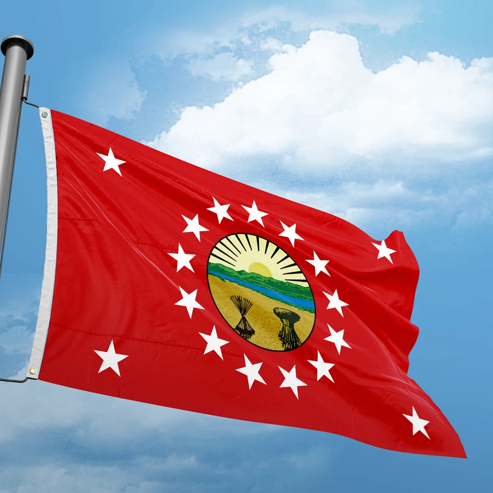 Флаг регулятора Огайо, 3*5 футов, 90*150 см, флаги штатов США, флаги Америки под заказ, баннеры для внутреннего и наружного декора, полиэстер