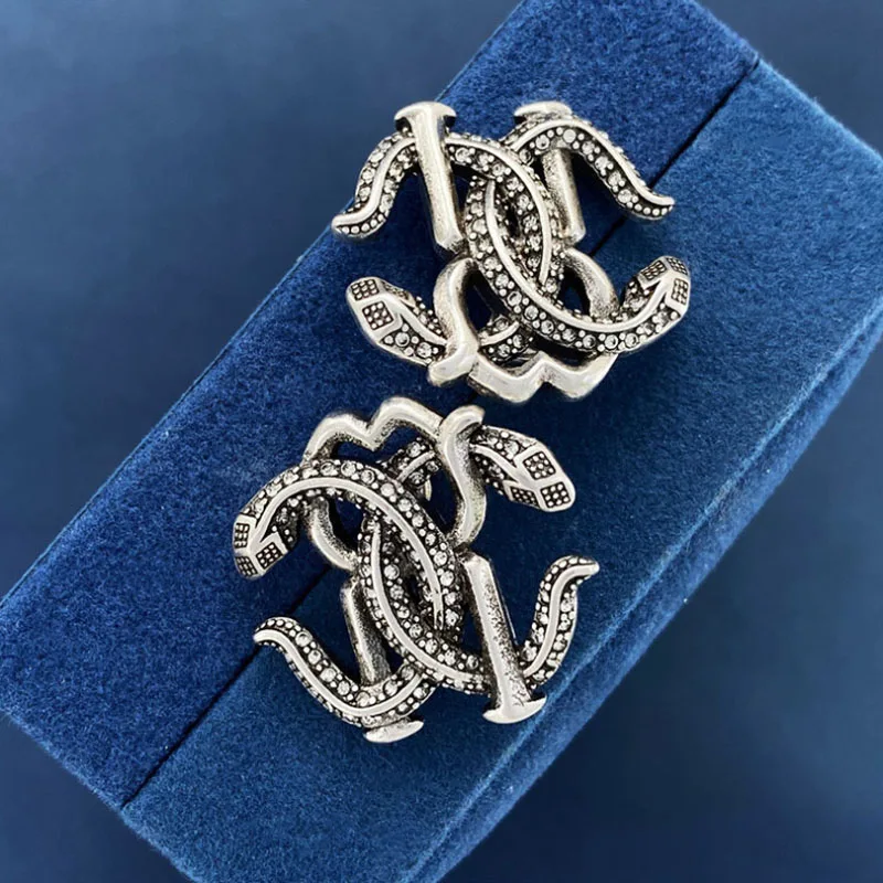 Серьги из титановой стали с двойной змеей европейско-американская мода