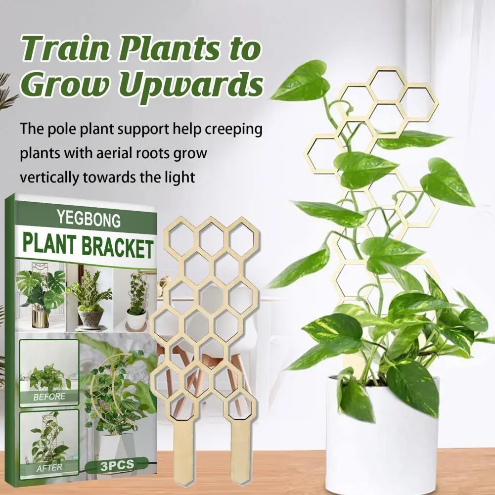 

3Pcs Plant Support Rack Exquisite Solid Color Wood Thicken Support Rack Creative Honeycomb Shape Plant Climbing Rack for Home