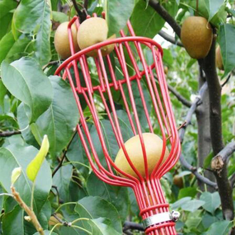 

Garden Tools Deep Basket Fruit Picker Head Convenient Fruit Picker Catcher Apple Peach Picking Farm Garden Picking Device
