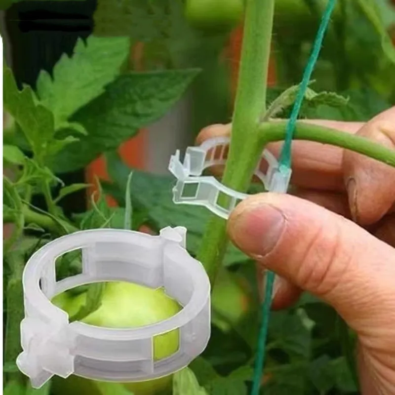 

Green fruit tree plant fixation clip clip vine fixer seedling climbing support rod horticultural seedling lifting clip
