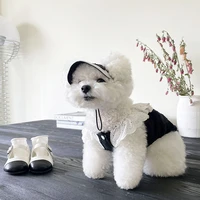 ins style backless skirt for small dog designer clothes cat lace pet clothes kitty breathable dog outfits summer puppy dresses