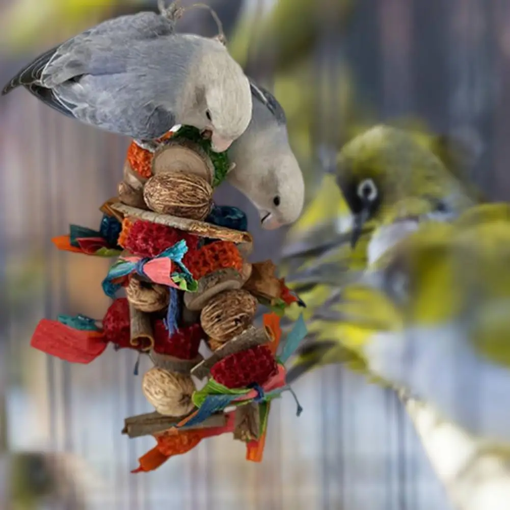 

Parrot Bite Toy Branch Takraw Bird Chew Toy Teeth Grinding Toy Landscaping Safe Bird Parrot Chewing Block Toy